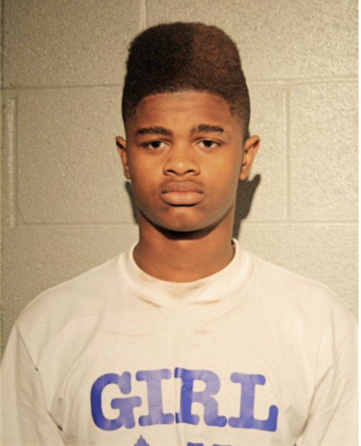 JOSHUA G TURNER, Cook County, Illinois