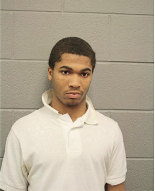 DWAYNE L ANDERSON, Cook County, Illinois