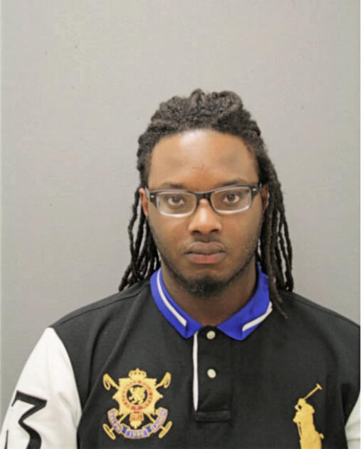 MICHAEL D ARNOLD, Cook County, Illinois