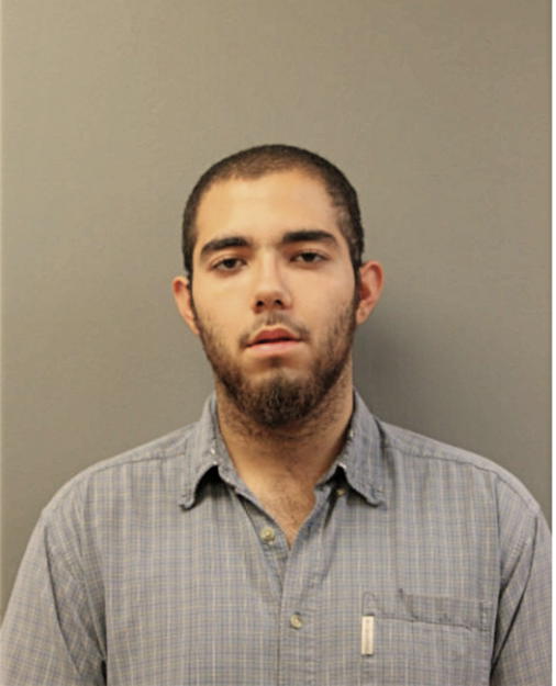 EDSON V AVILES, Cook County, Illinois