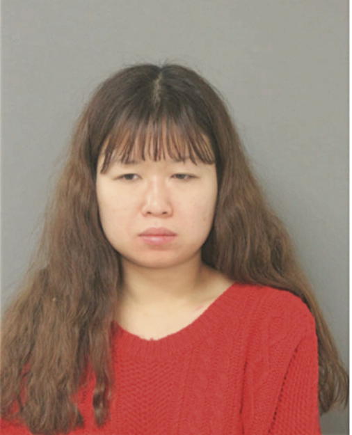 EUNKYU CHOE, Cook County, Illinois