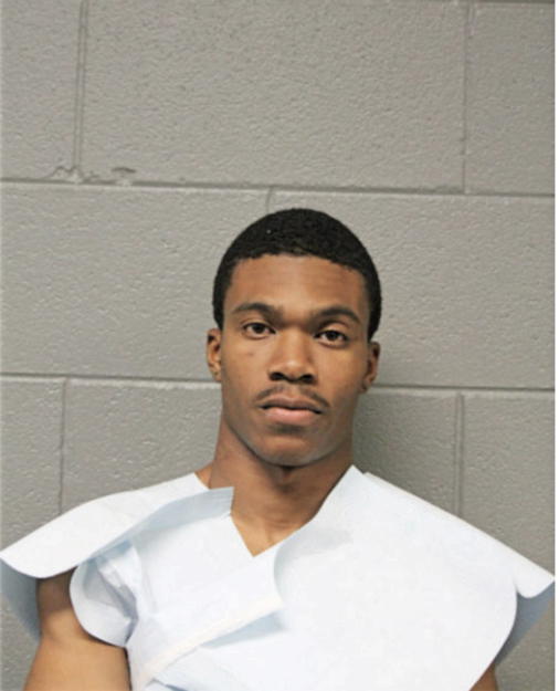 MICHAEL R COBB, Cook County, Illinois
