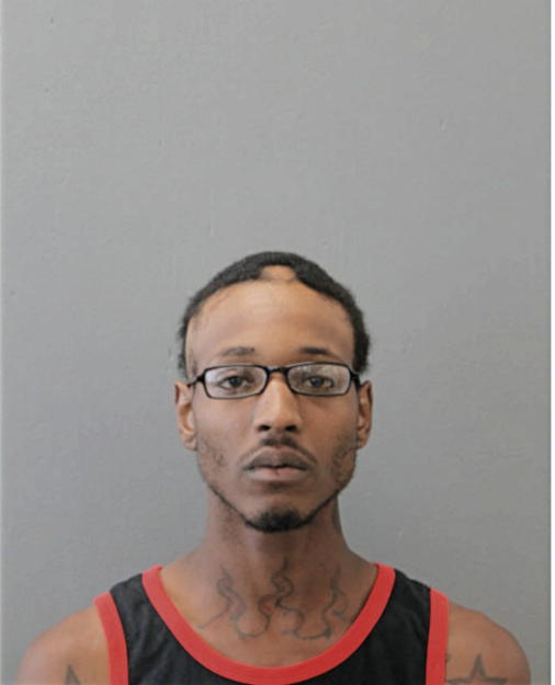 DEVON D ELLZEY, Cook County, Illinois