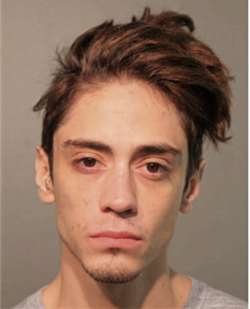 DANIEL P DUNCAN, Cook County, Illinois