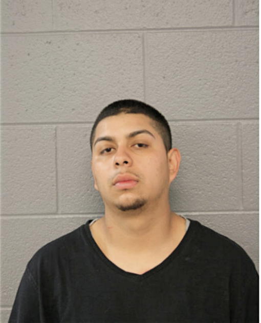 MARTIN A FABRE, Cook County, Illinois