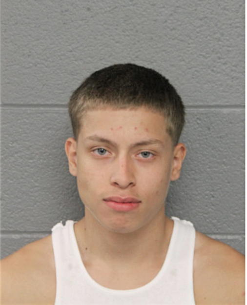JORDAN H FIGUEROA, Cook County, Illinois
