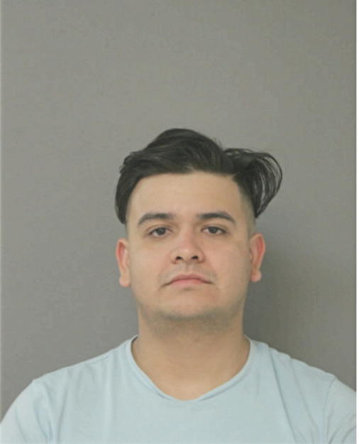 MYNOR I GOMEZ, Cook County, Illinois