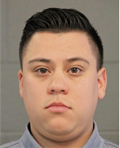 LUIS J GUERRERO, Cook County, Illinois