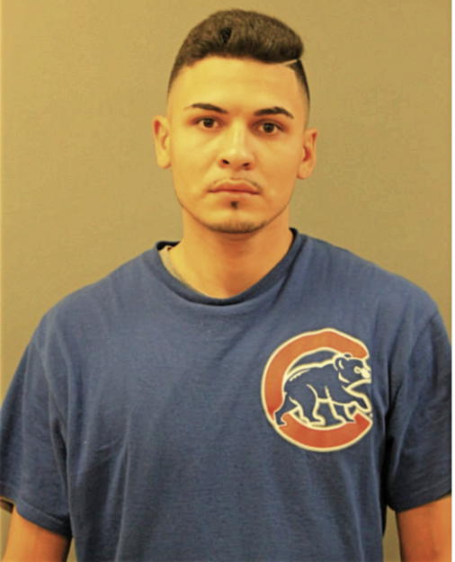 APOLINAR HERRERA, Cook County, Illinois