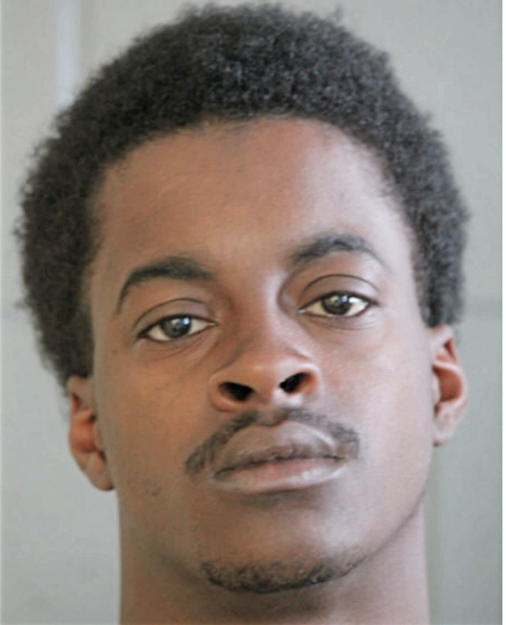 DAVID L KING, Cook County, Illinois