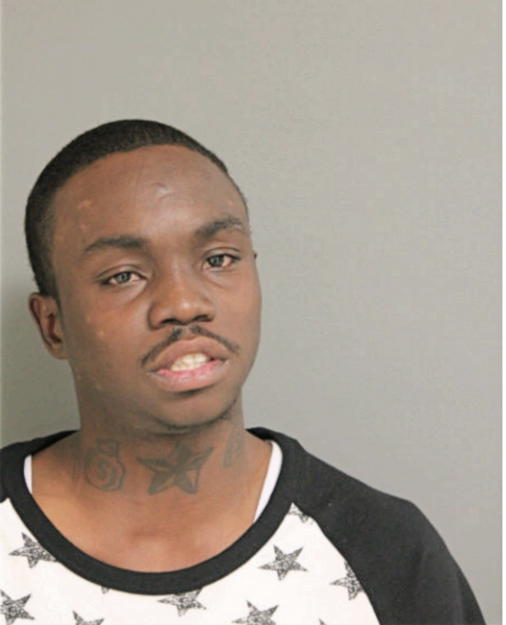 DEON D LACEY, Cook County, Illinois
