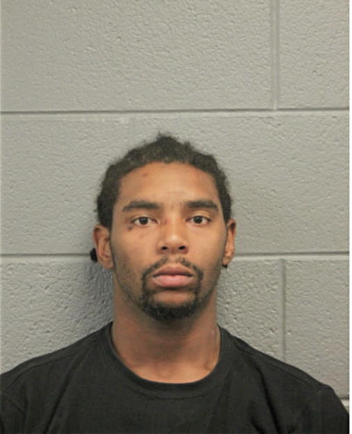 CHRISTIAN T LANDON, Cook County, Illinois