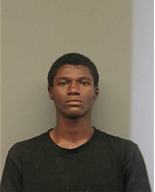 STEVEN L LANE, Cook County, Illinois