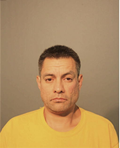 LUIS M CHAVEZ, Cook County, Illinois