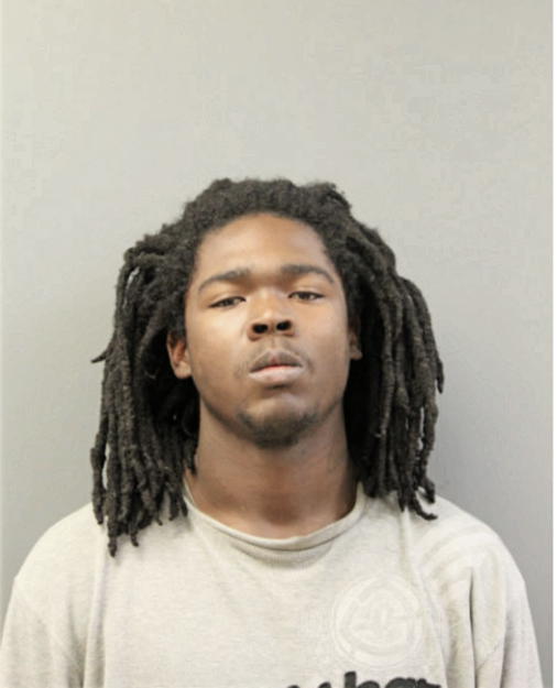 TRAVIS T MATTHEWS, Cook County, Illinois