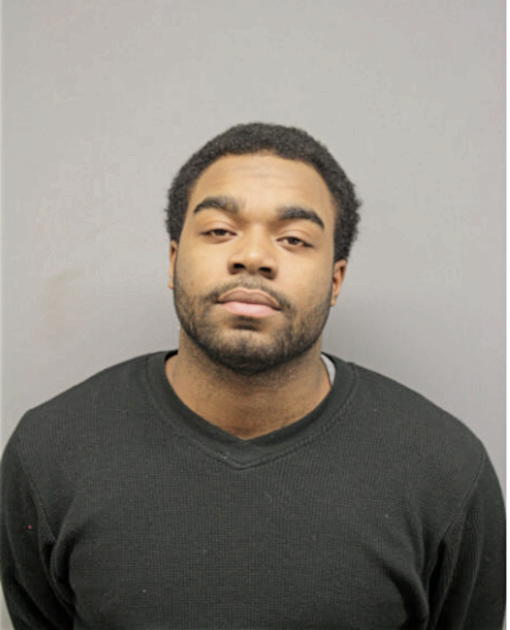 CRAIG L MCKENZIE, Cook County, Illinois