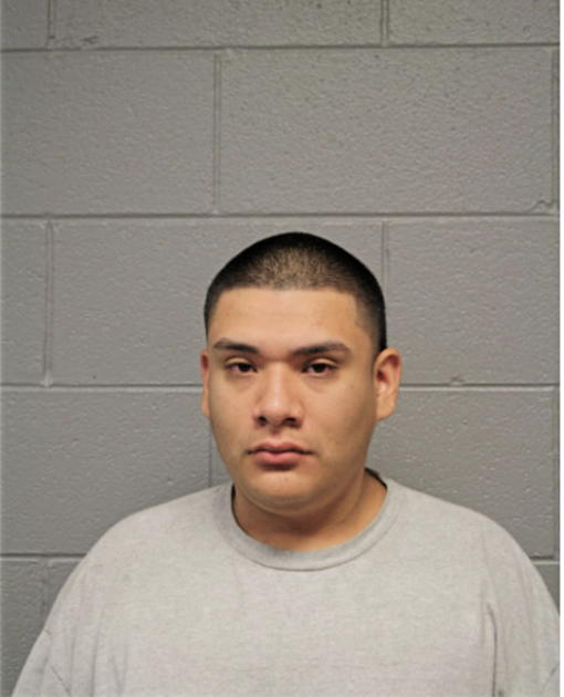 ELANO MEZA, Cook County, Illinois