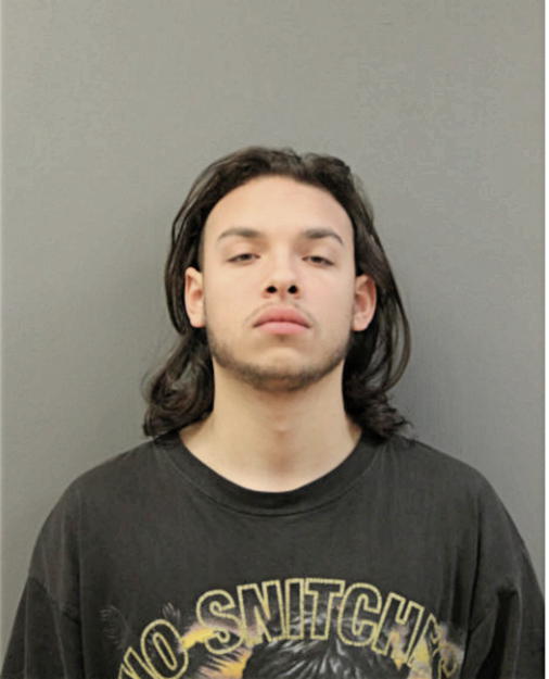 ALBERTO MOLINA, Cook County, Illinois