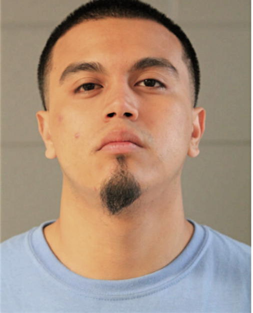 MICHAEL NARES, Cook County, Illinois