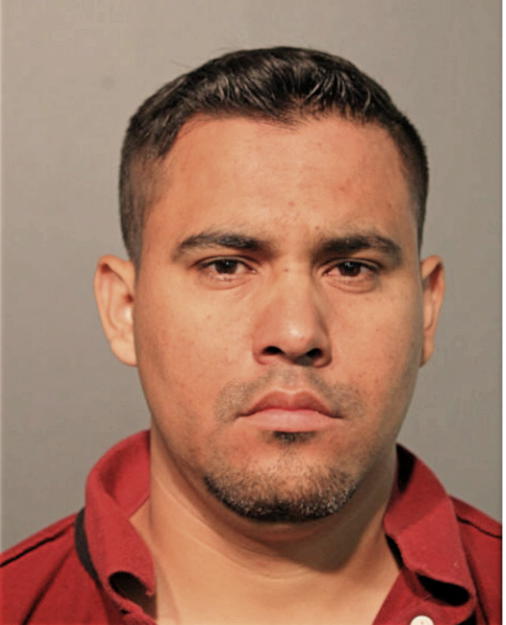 JOSE L PEREZ, Cook County, Illinois