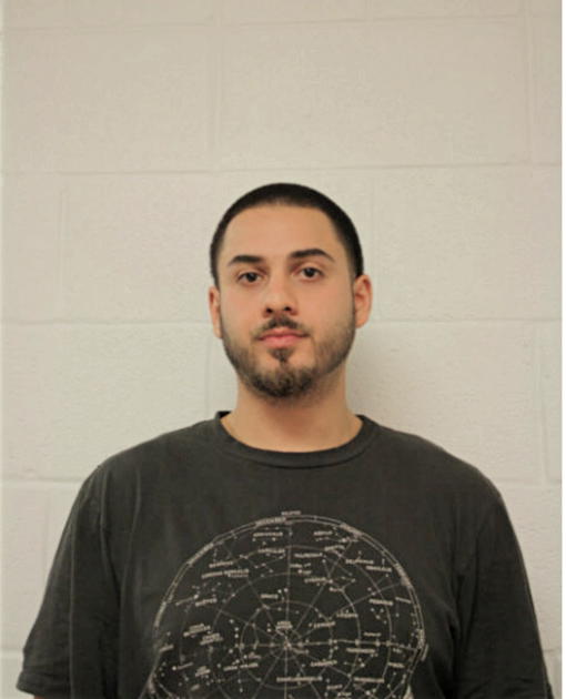 DAVID J PINEDA, Cook County, Illinois