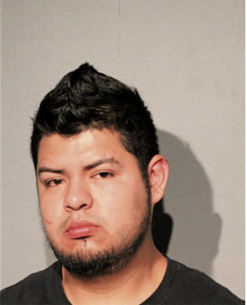 JORGE L PORTILLA, Cook County, Illinois
