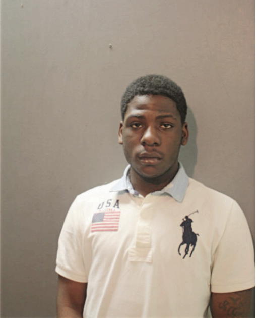 WESLEY J REED, Cook County, Illinois