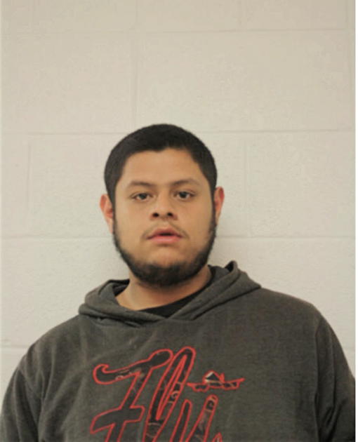 CHRISTIAN REYES, Cook County, Illinois