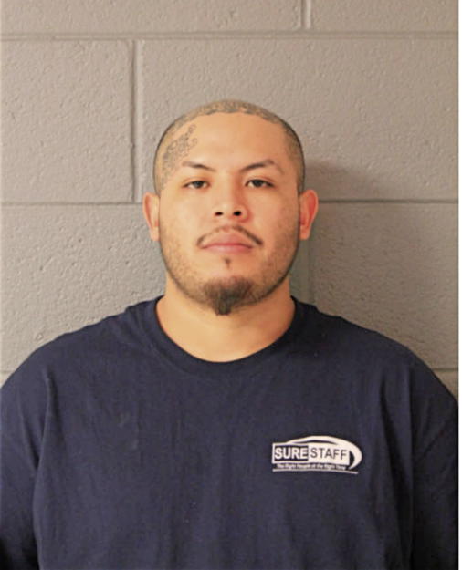 HECTOR D RUIZ, Cook County, Illinois