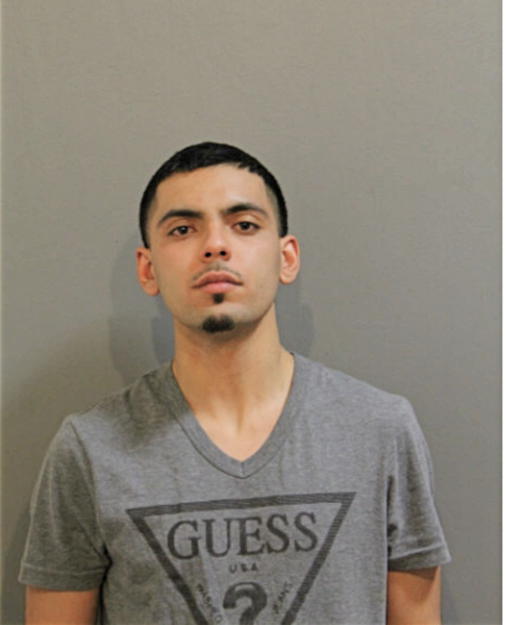 MARK A VALDIVIA, Cook County, Illinois