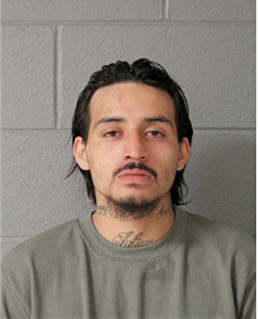 JULIAN VELA, Cook County, Illinois