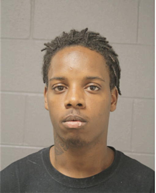ALVIN L WILLIAMS, Cook County, Illinois