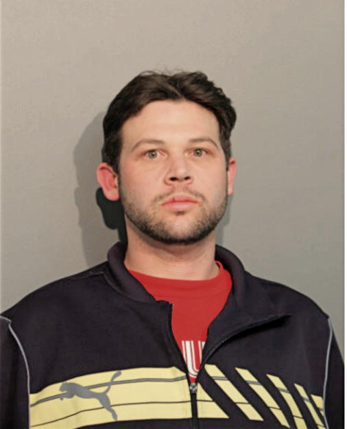 ANTHONY J WOLF, Cook County, Illinois