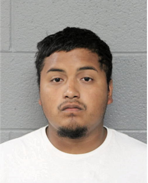GERSON N ADAME, Cook County, Illinois