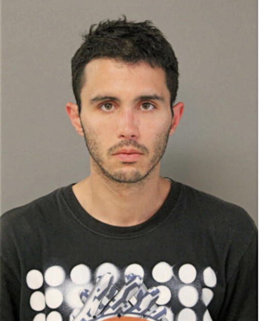 MICHAEL J DALY, Cook County, Illinois
