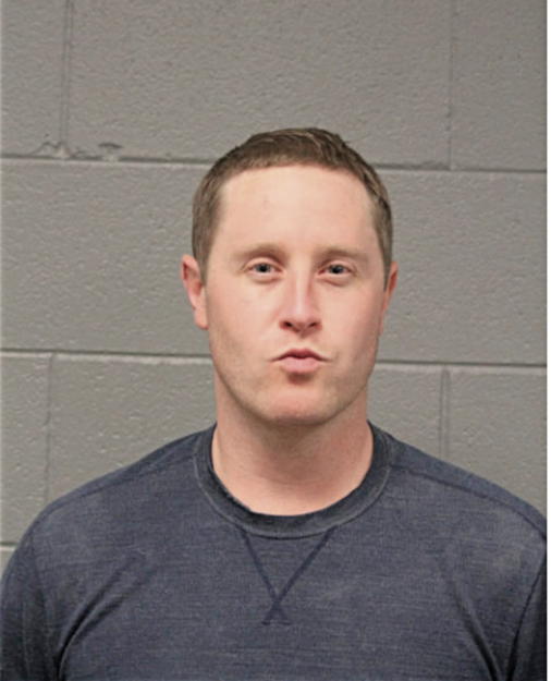RYAN T FLAHERTY, Cook County, Illinois