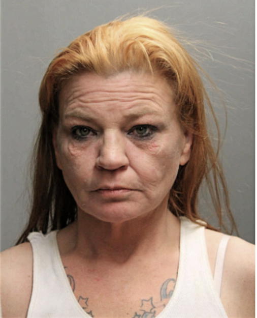 SUSAN M FLOSS, Cook County, Illinois