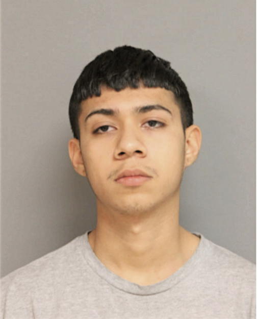 LUIS HERRERA, Cook County, Illinois