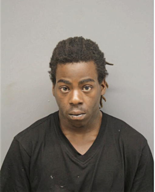 BRIAN D KING, Cook County, Illinois