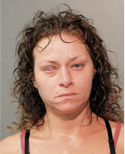 VICTORIA J LUGO, Cook County, Illinois