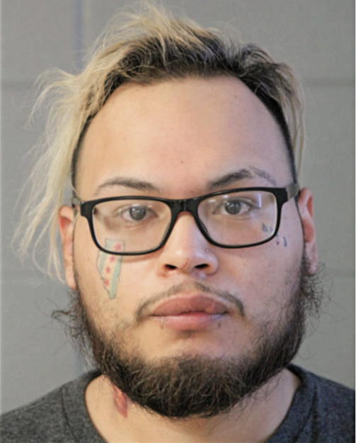 FIDEL MARTINEZ, Cook County, Illinois