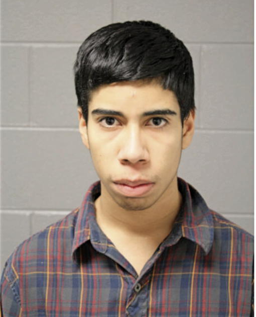 MARK E MENDEZ, Cook County, Illinois