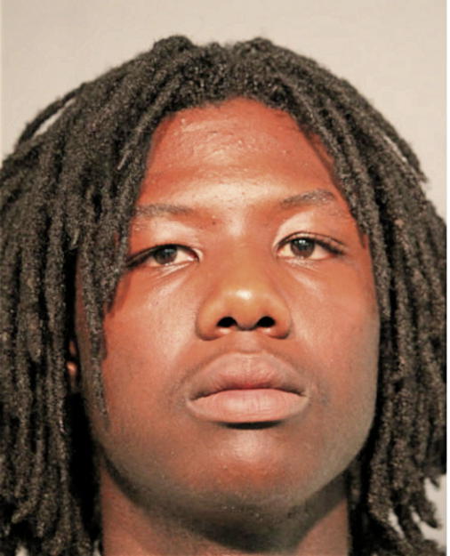 DEREK J NORMAN, Cook County, Illinois