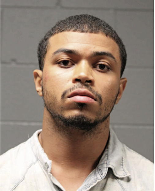 CHRISTOPHER S POWERS, Cook County, Illinois