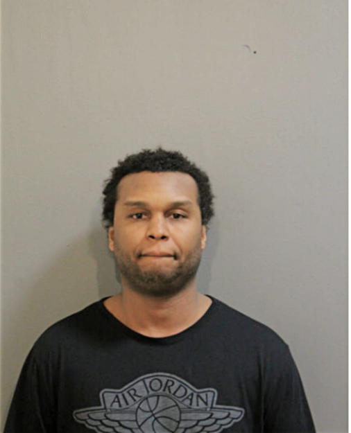 LARRY D RICE JR, Cook County, Illinois