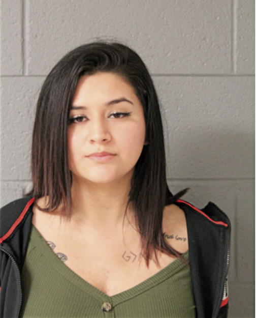 MARIA G RODRIGUEZ- FIGUEROA, Cook County, Illinois