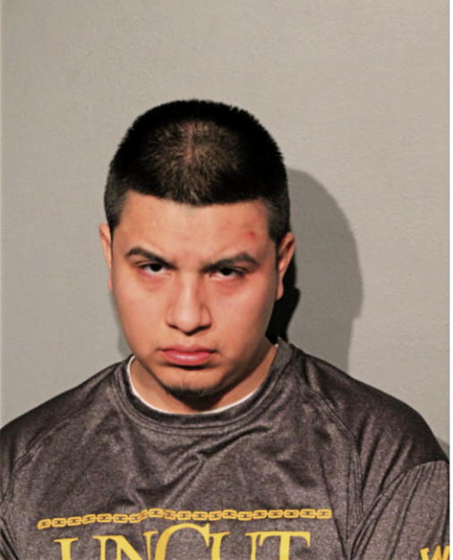 BRIAN RUEDA, Cook County, Illinois