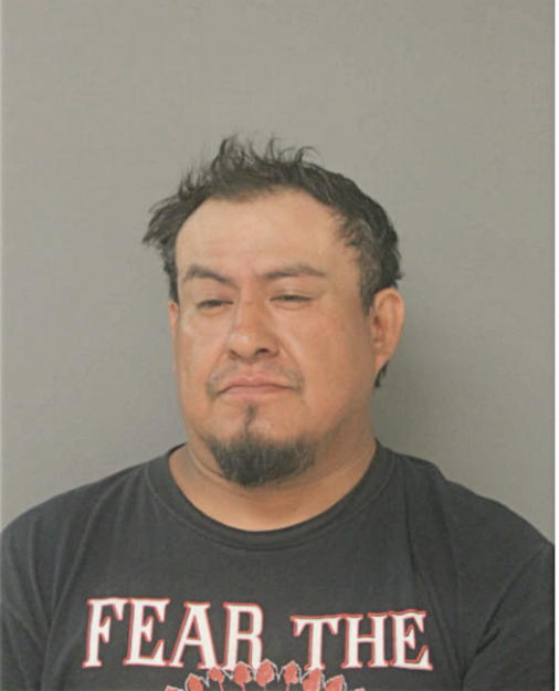 MOISES SANTANDER, Cook County, Illinois