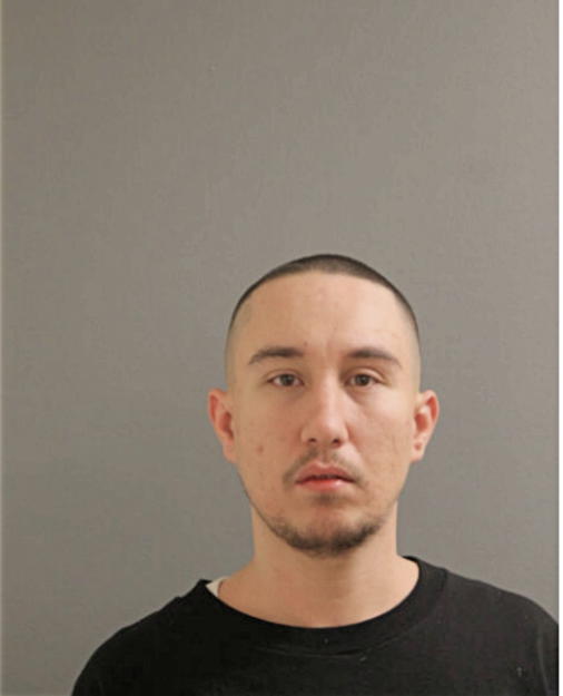ALEX STORM, Cook County, Illinois
