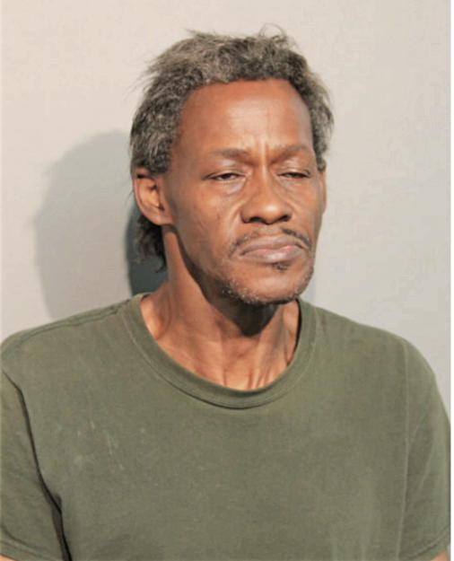 CHRISTOPHER E WASHINGTON, Cook County, Illinois